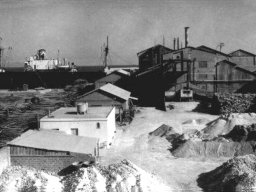 PortoBaroid01