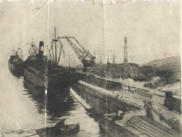 portoegru11