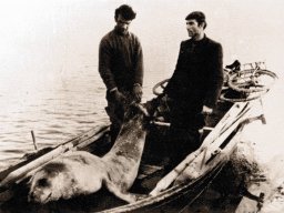 ATTIVITA' PRODUTTIVE &raquo; PESCA