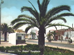 piazzaumberto02