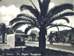 piazzaumberto12