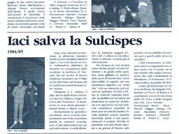 Sulcispes08